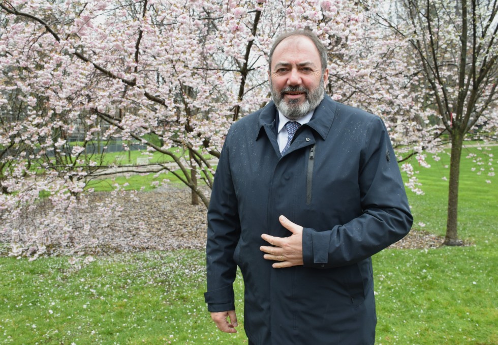 Braun