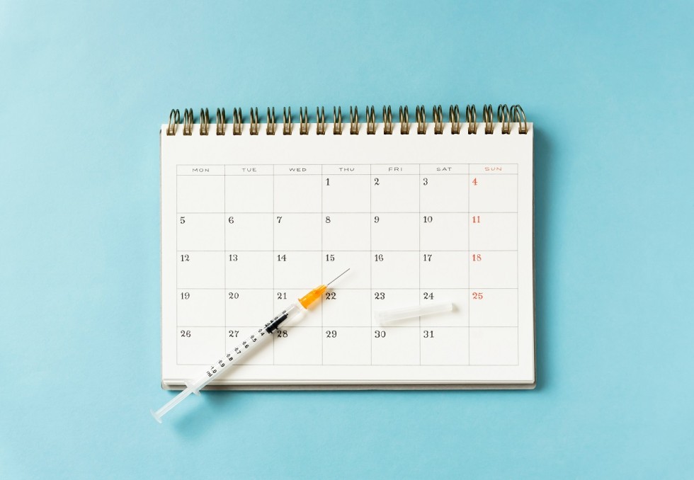 calendrier vaccinal