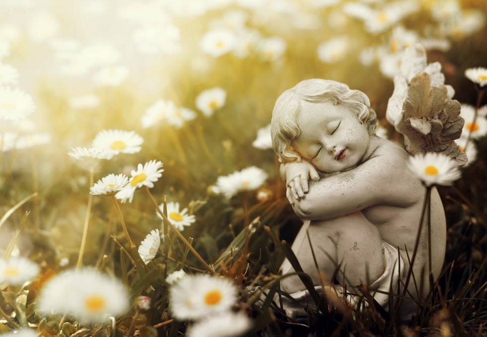 Ange dans une prairie