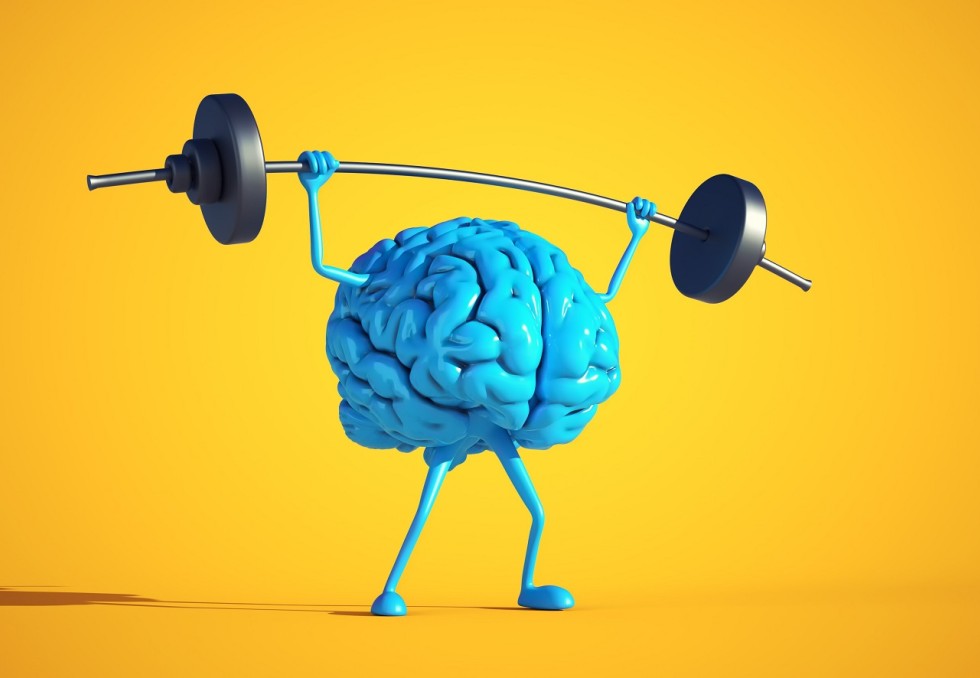 Cerveau