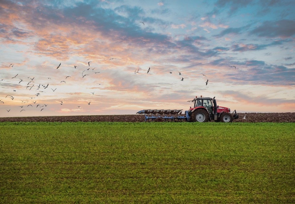 agriculture