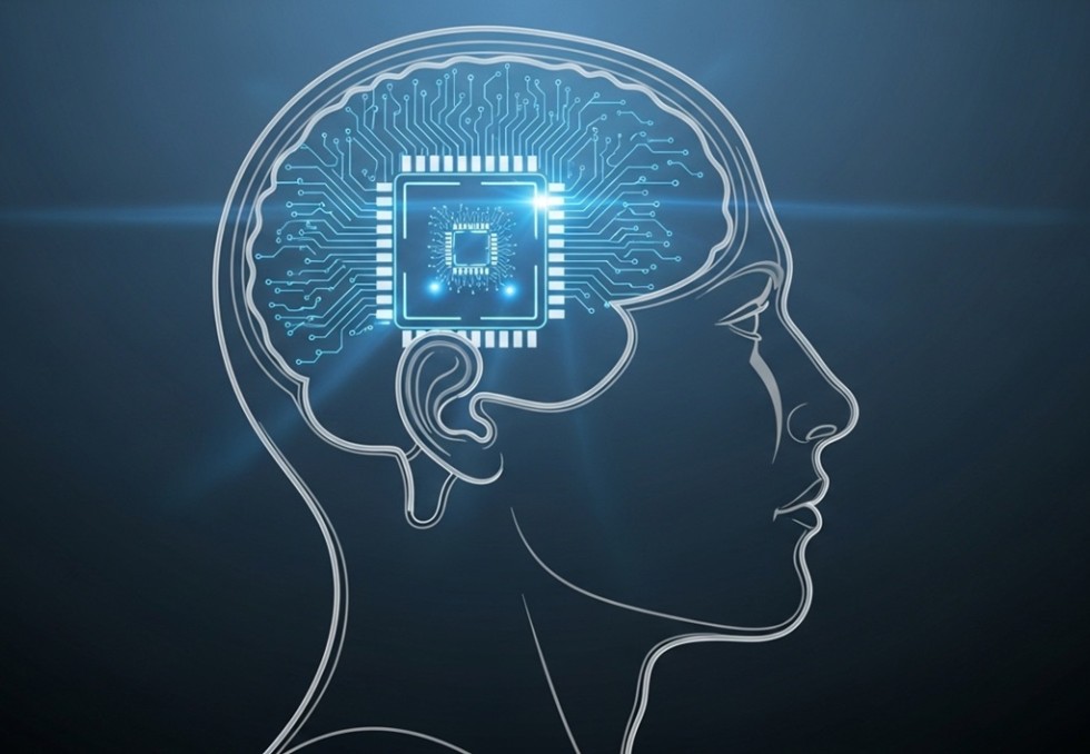 cerveau