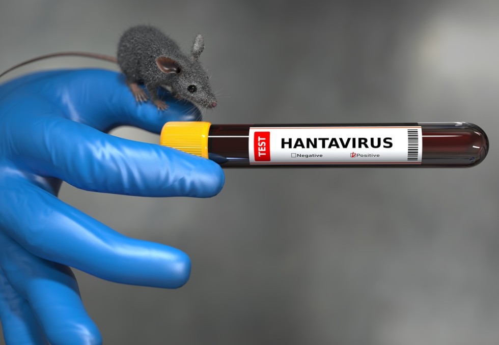 hantavirus