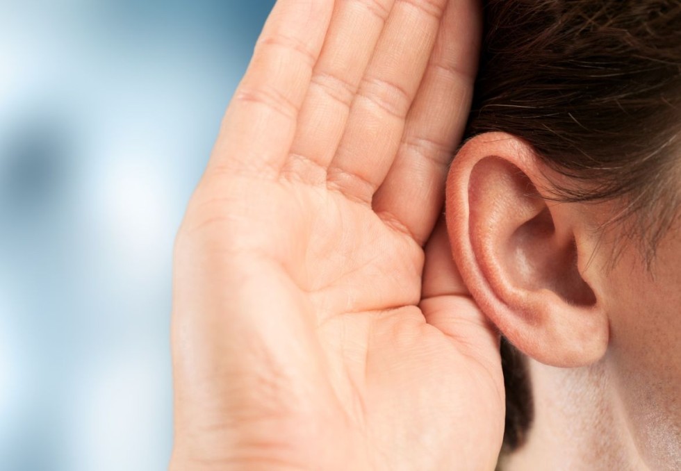 oreille