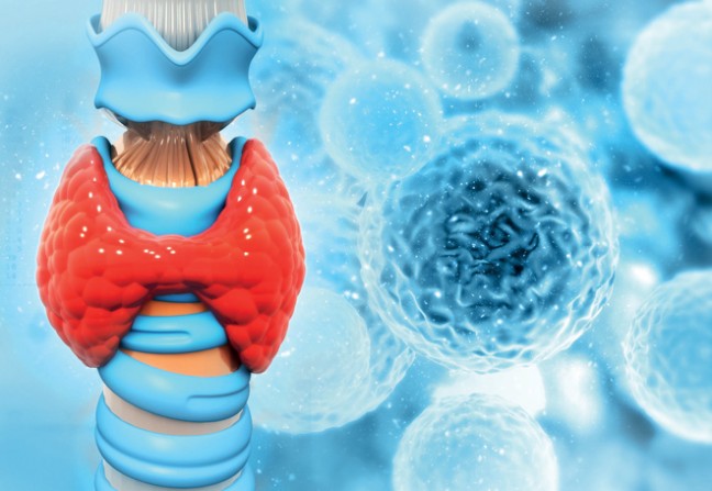 Hypothyroïdie : un diagnostic par étape