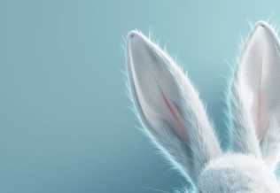 Taxe lapin.