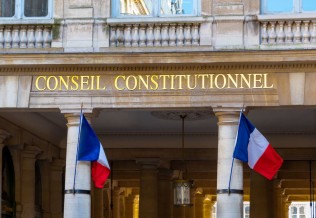 Conseil constitutionnel. 