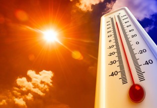 Canicule