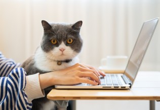 télétravail