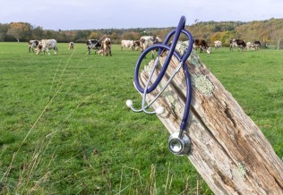 Déserts médicaux