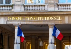 Conseil constitutionnel. 