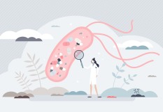 Antibiorésistance