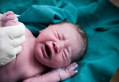 bébé
