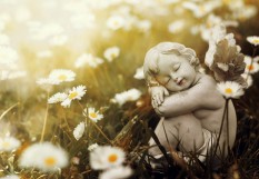 Ange dans une prairie