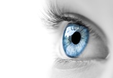 oeil