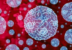virus