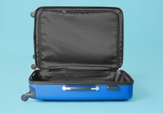 valise