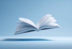 livre blanc